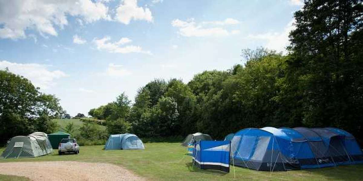 Discover Camping Near Steinhatchee, FL: A True Escape into Florida’s Big Bend