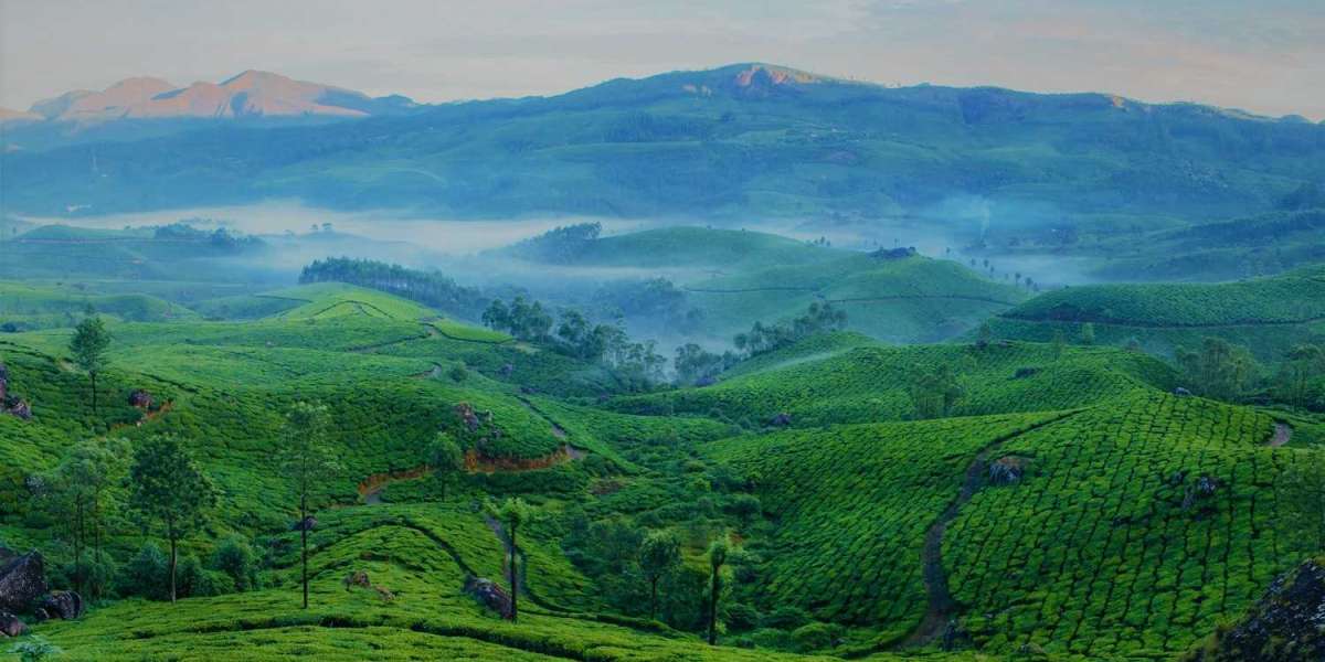 The Power of FOMO7: How Innovation is Redefining the Future of Online Engagement