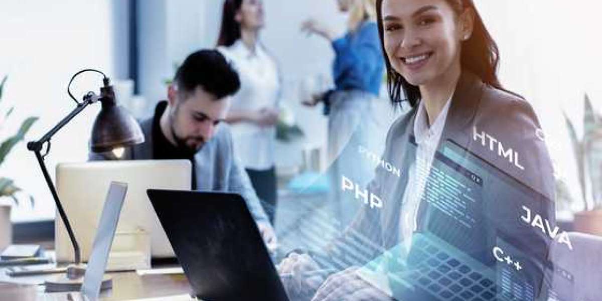 Why Choose Professional Software Development Services in Singapore