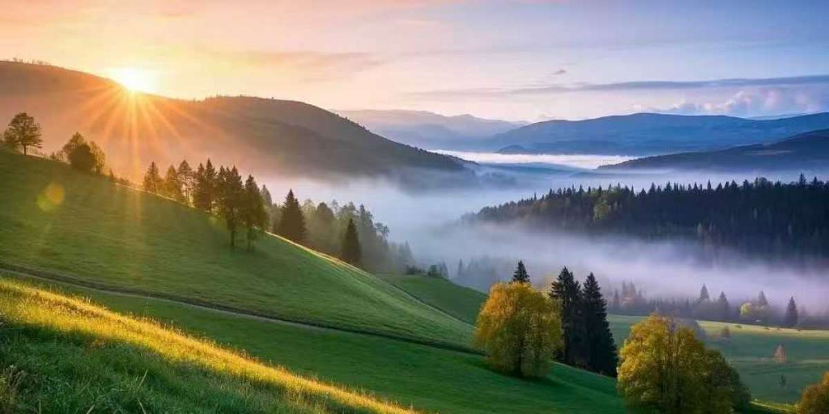 T. J. Watt sharing his pool mishap was a wonderful crack towards the common