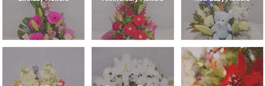 blossomof wyndham Cover Image