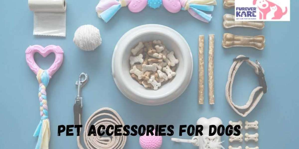 How to Buy Pet Accessories Online | Furever Kare