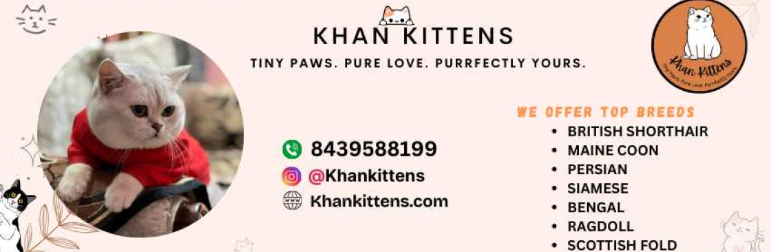 Khan kittens Cover Image