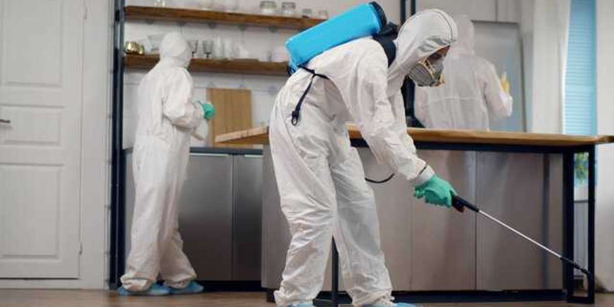 Pest Control Services in Rawalpindi | Expert Solutions