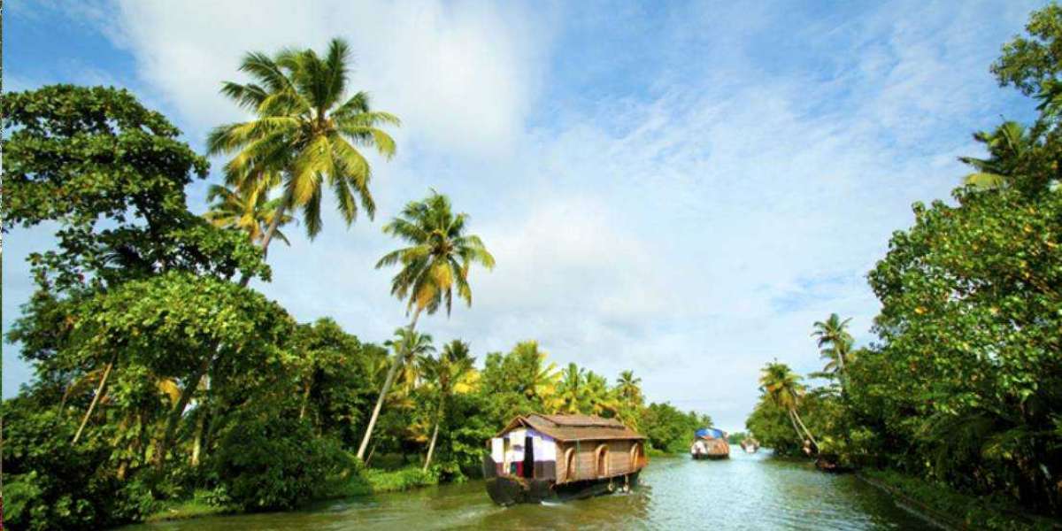Kerala Backwaters to Munnar Hills: What to Expect in Your Tour Package