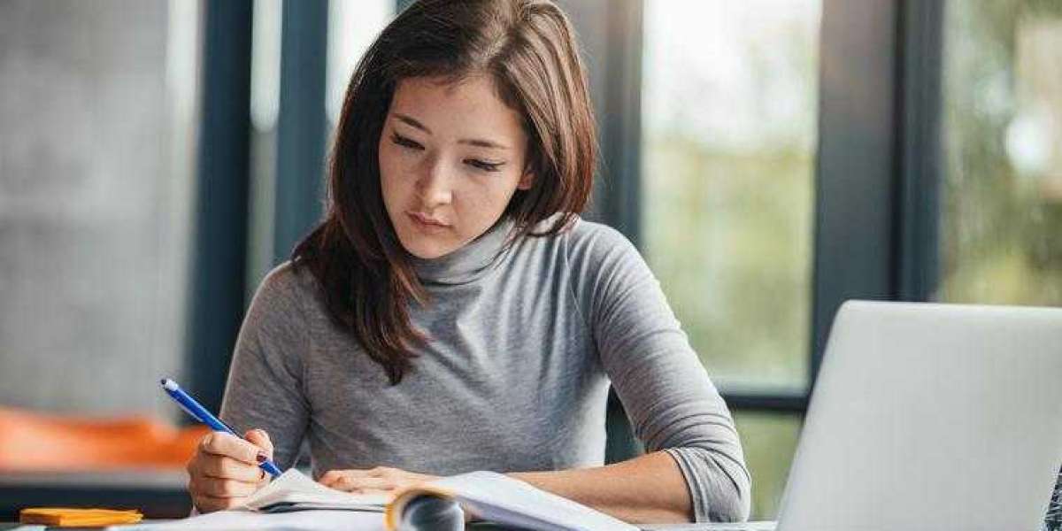 Your Guide to Studying in New Zealand as an International Student