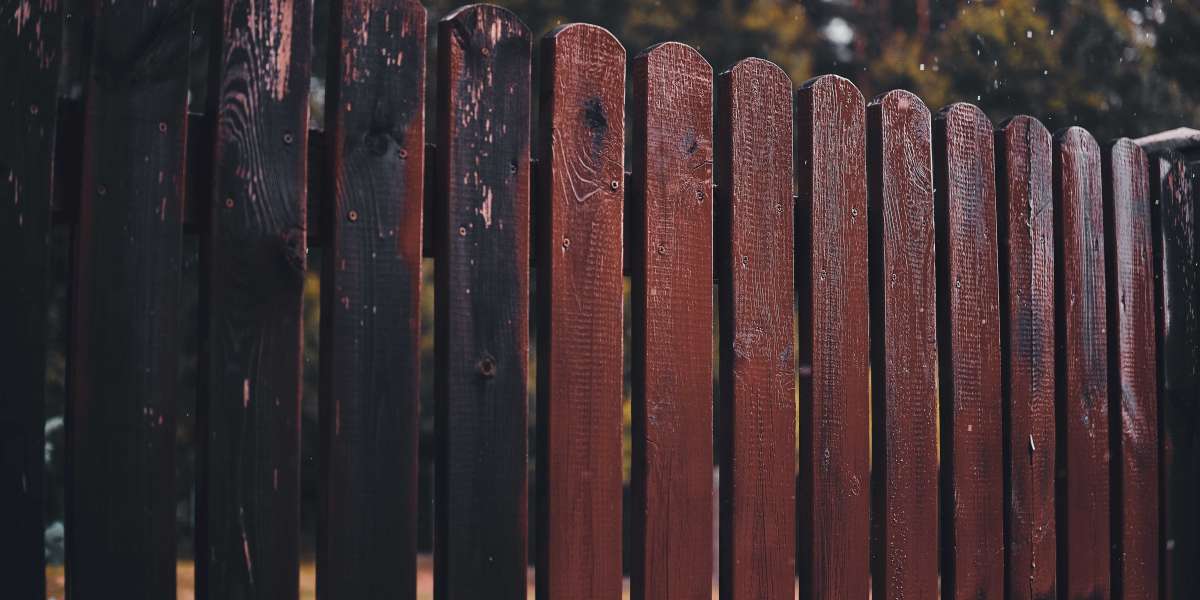 Why Choose Cedar? Comparing Cedar Fencing to Other Wood Types