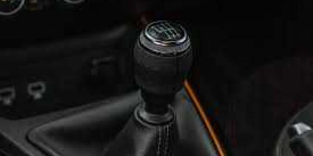 Your Essential Guide