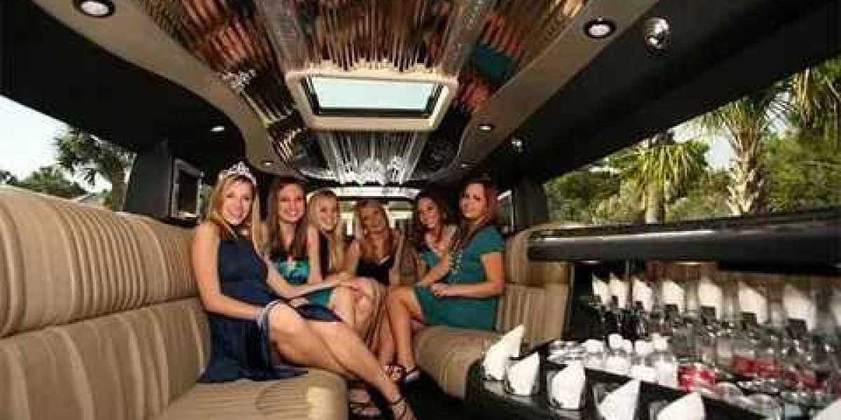 Ride in Style: Why Concert Transportation Makes Your Night Unforgettable