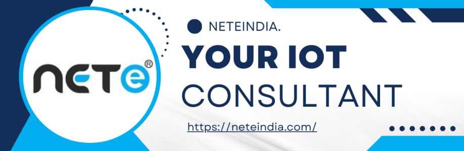 Nete India Cover Image