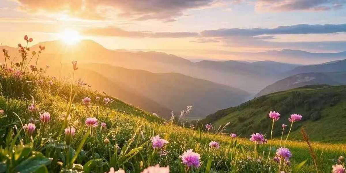 2023 WNBA quarterly awards: Los Angeles Sparks model