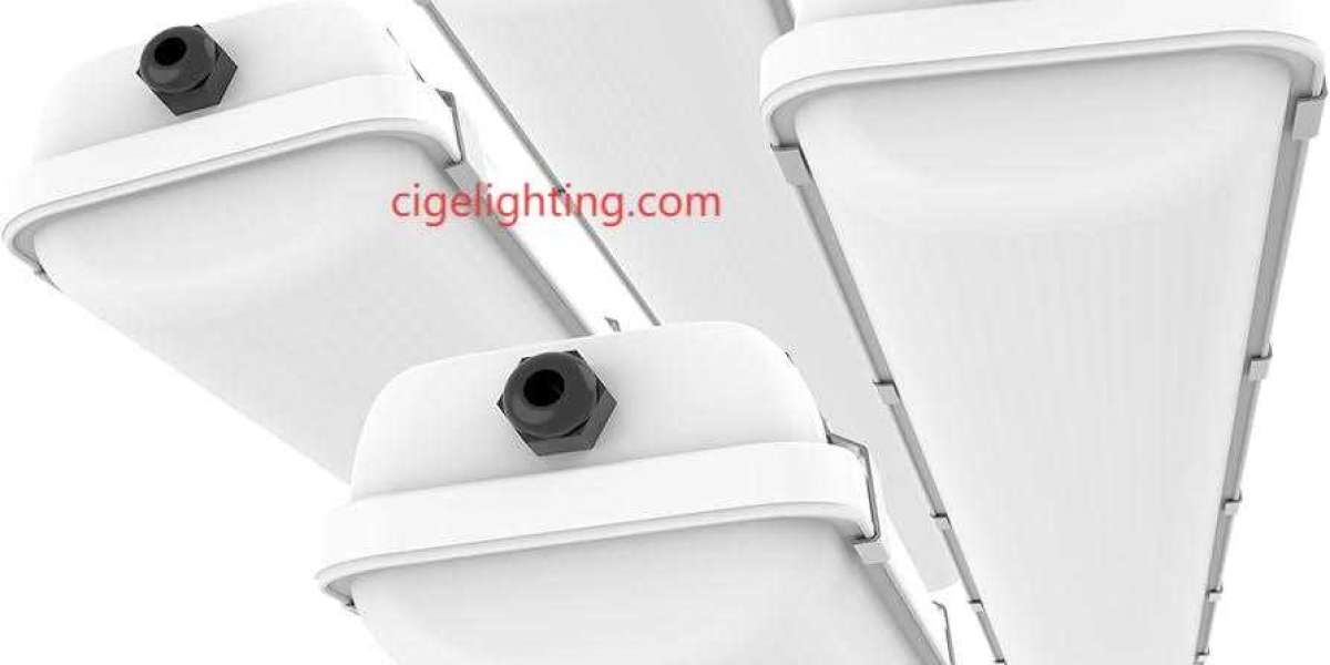 Brownout-Proof Lighting: Cige Tri-proof Fixture