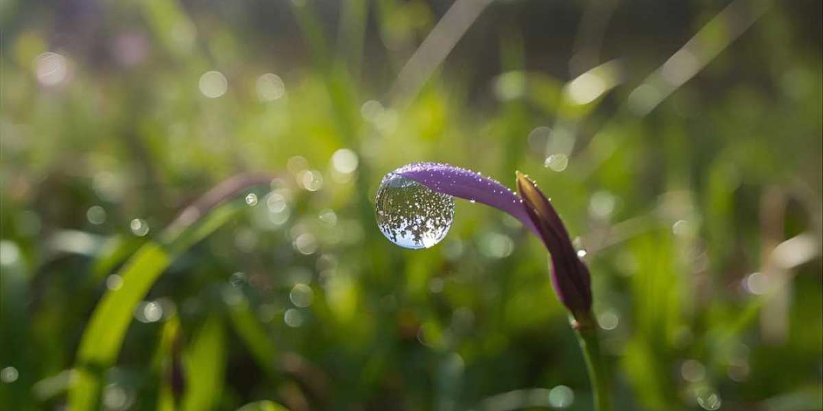 Fire Safety Services Australia: Trusted Solutions for Safer Buildings