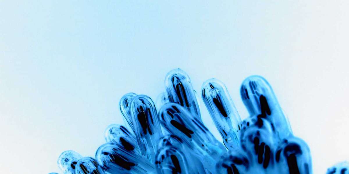 Best Real Money Online Casinos in the US 2025