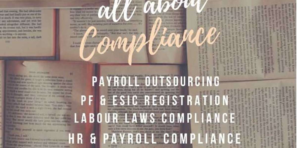 One of the Most Important Contract Staffing Service Provider