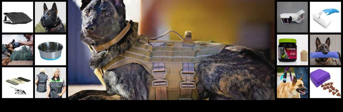 Damon Cathlic Cover Image