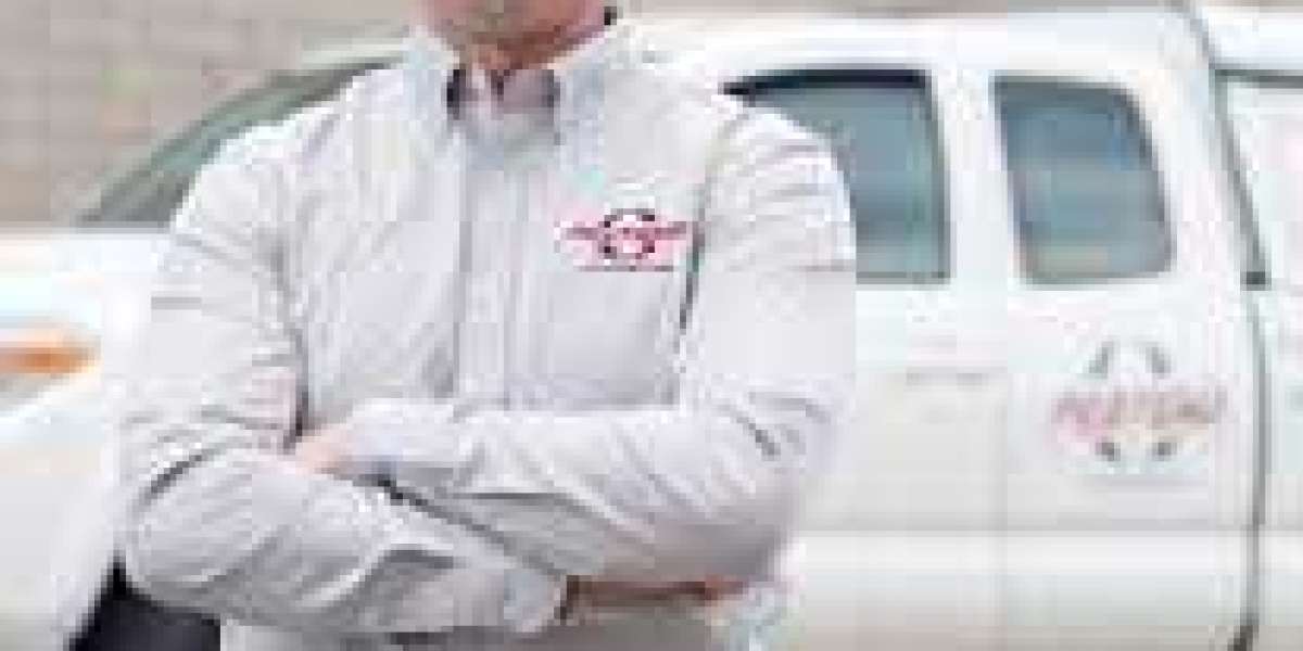 Your Essential Guide