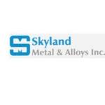 skyland metal Profile Picture