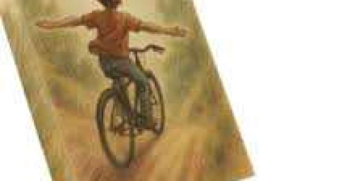 Gravity Always Wins A Story You Cannot Forget