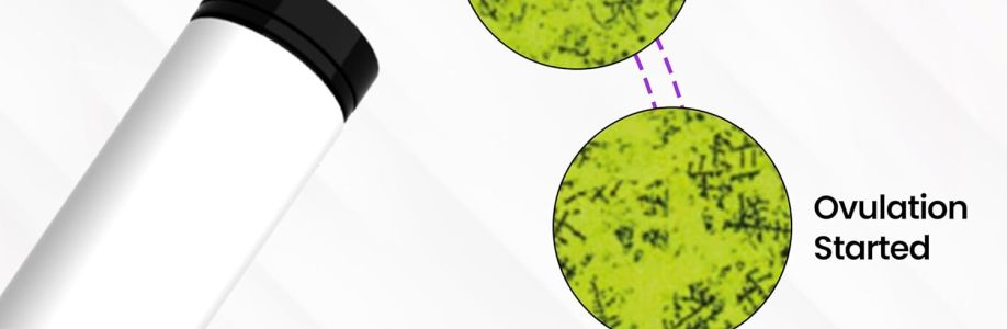 Knowhen TestKit Cover Image