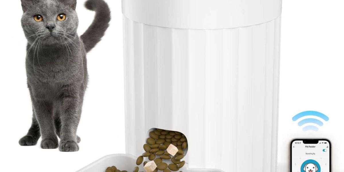 Pawtechpet Intelligent Pet Food Dispenser: Precision and Care Combined