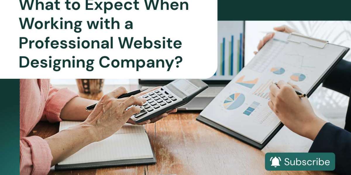 What to Expect When Working with a Professional Website Designing Company?