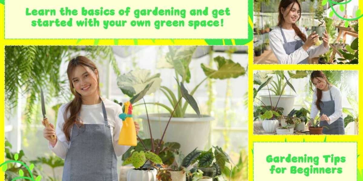 Weedol Lawn Weedkiller: The Complete Guide to Achieving a Weed-Free, Healthy Lawn