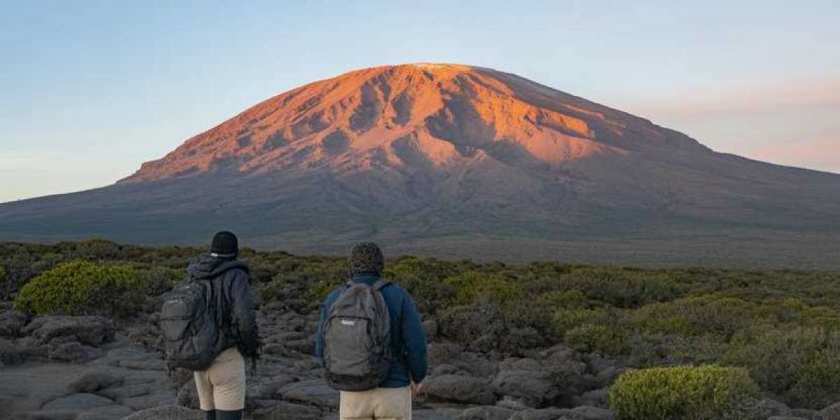 Conquer the Roof of Africa: Your Ultimate Guide to Mount Kilimanjaro Tanzania with Kilivikings