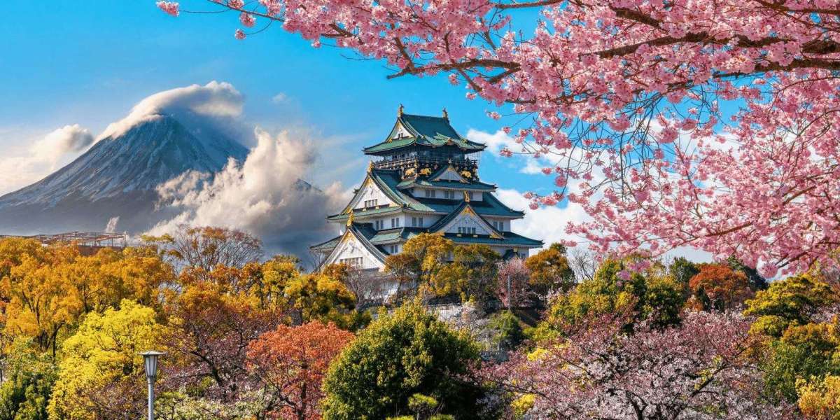 ITStravel – Complete Tour Package Solutions for Luxury, Family, and International Travel