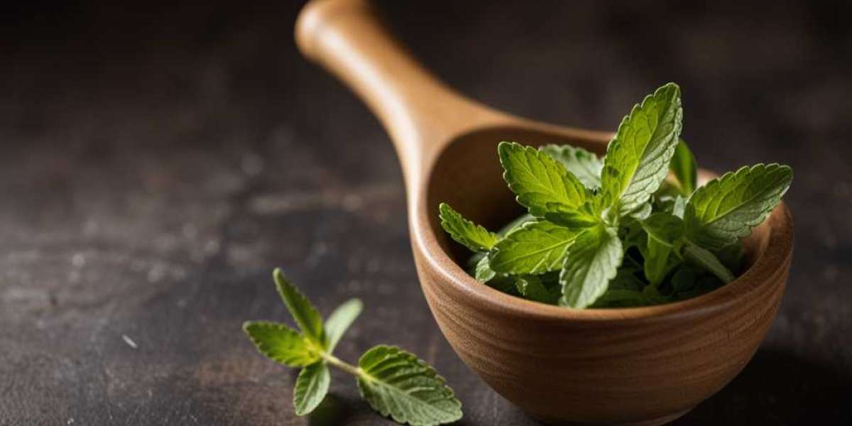 Stevia Prices 2025: Price Movement, Index Update & Forecast