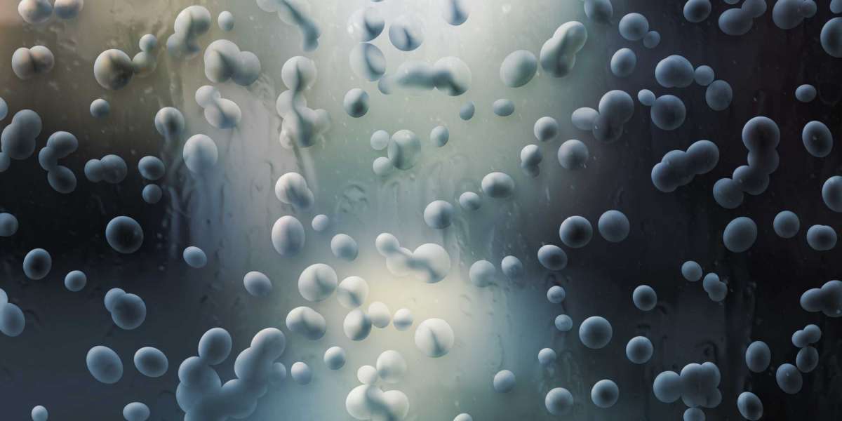 Exploring the Benefits Of Private Jet Charter Rentals: A Case Examine