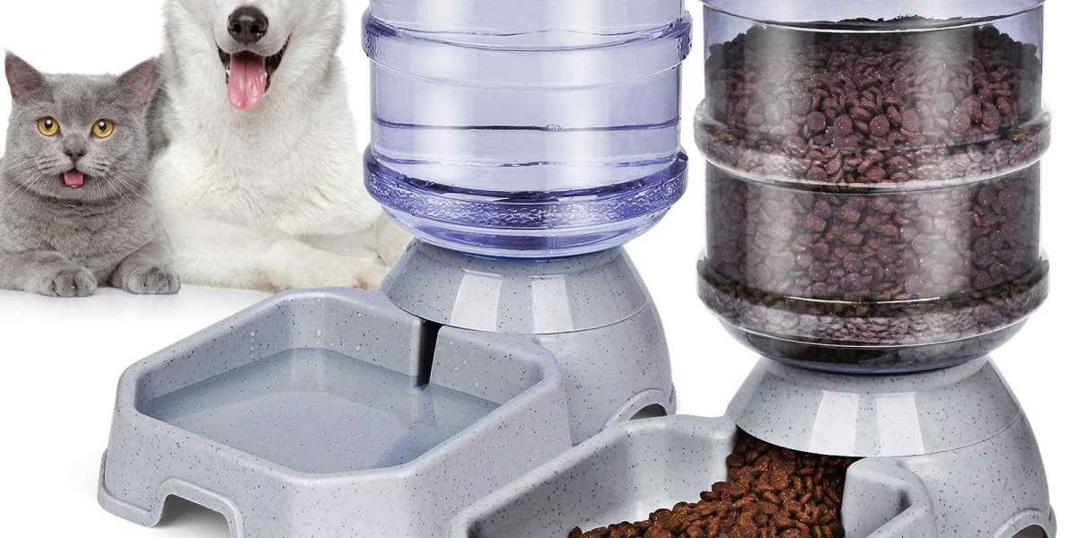 Pawtechpet Pet Feeder Supplier: Feeding Innovation for Every Home