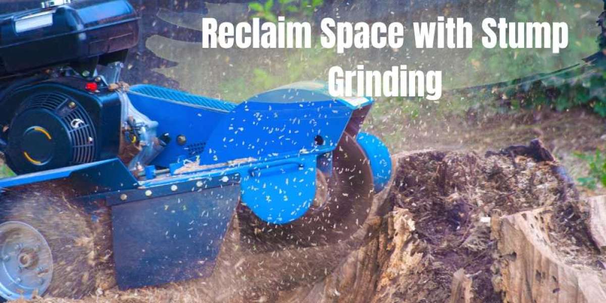 Urban Tree Care: How to Reclaim Space with Stump Grinding