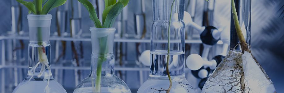 Botanic Healthcare Cover Image