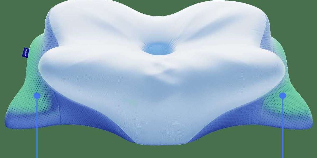 Why 11,000+ Users Love Derila Ergo Pillow: Ergonomic Design for Restful Sleep