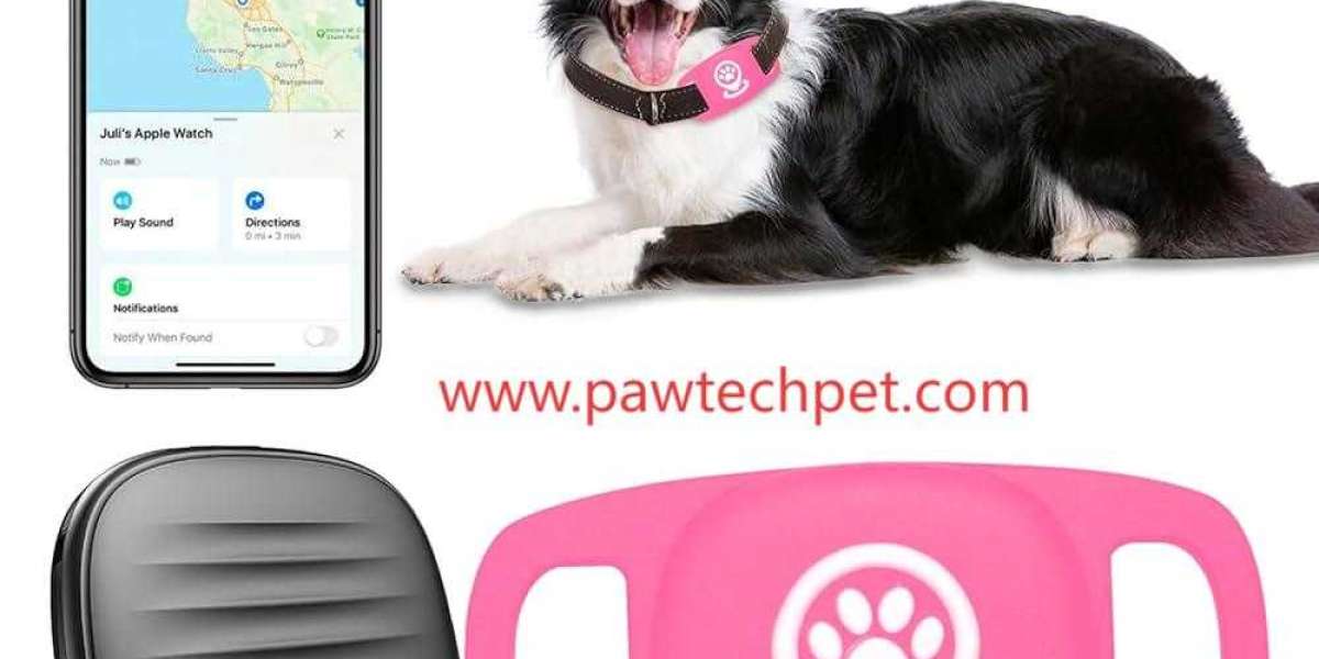 Can Pawtechpet Pet Tracker Manufacturer Improve Daily Supervision