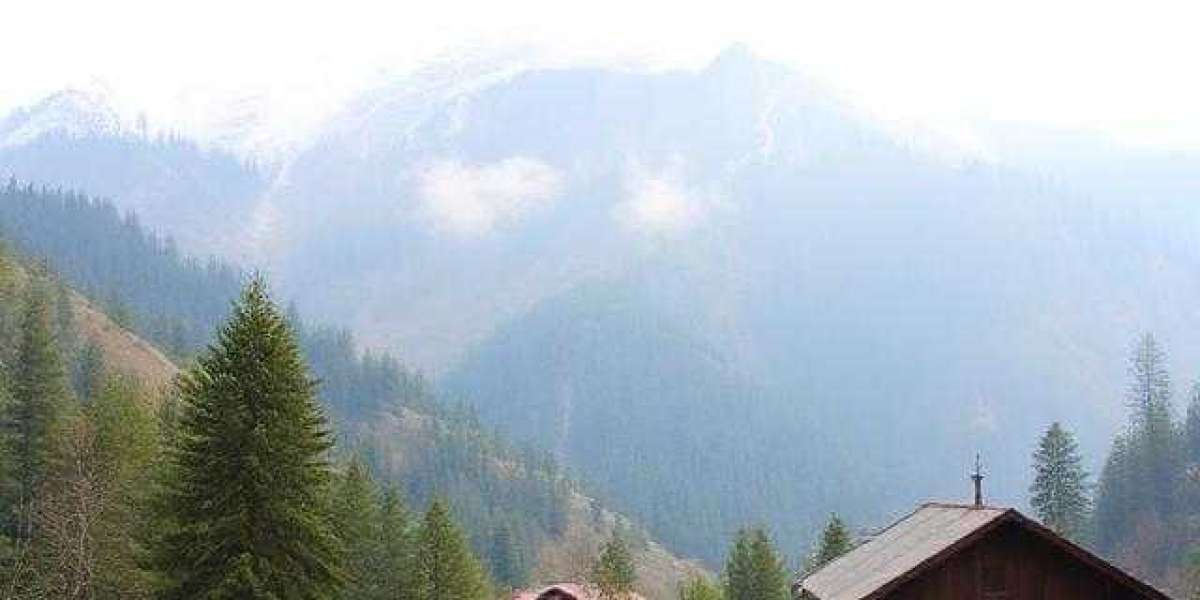 Himachal Pradesh Times: Your Trusted Travel & Tourism Blog for the Himalayas