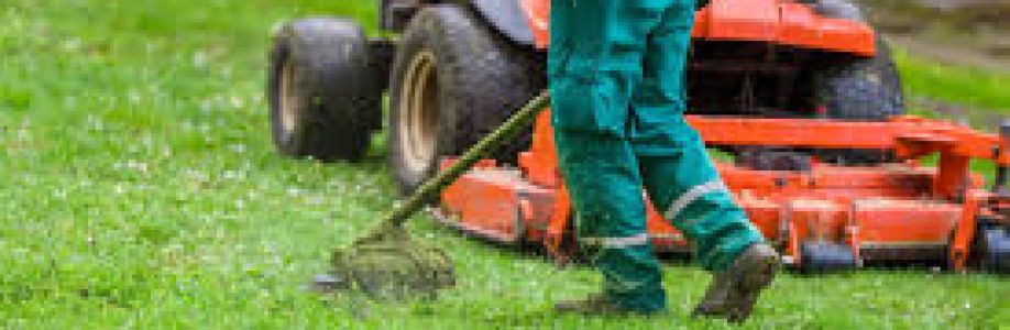 Cleri Ai Cover Image