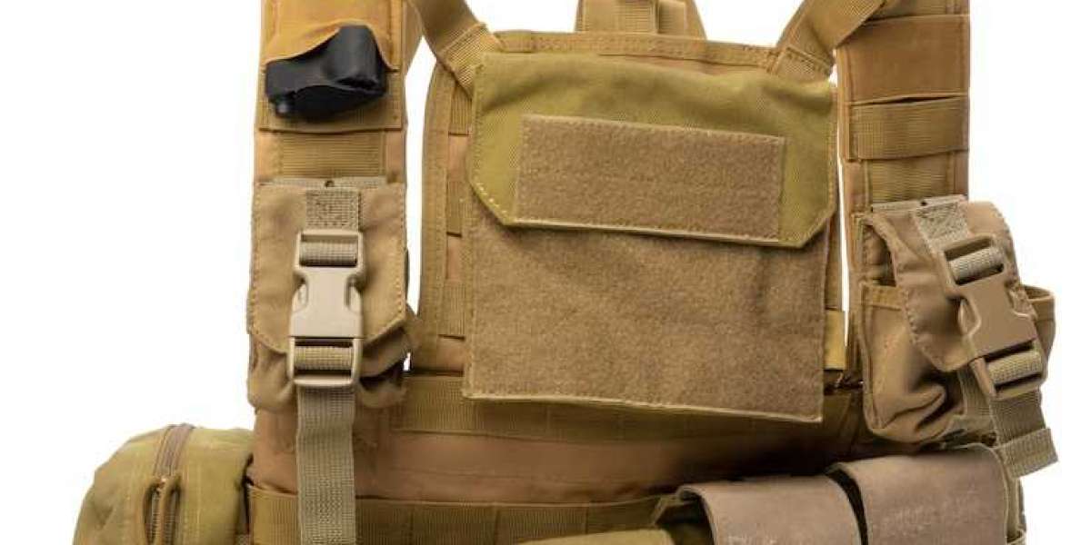 Plate Carriers and Their Impact on Modern Personal Armor Systems
