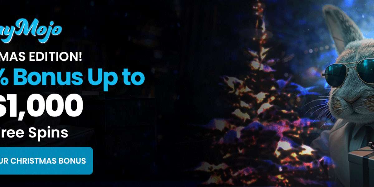 Your Ultimate Holiday Casino Adventure: Assessing the Safety of Canadian Online Casinos With Playmojo Casino Insights