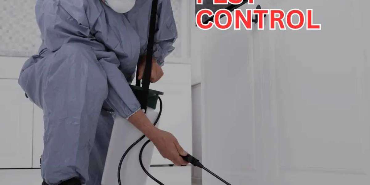 Comprehensive Pest Control Services for a Safe, Pest-Free Home