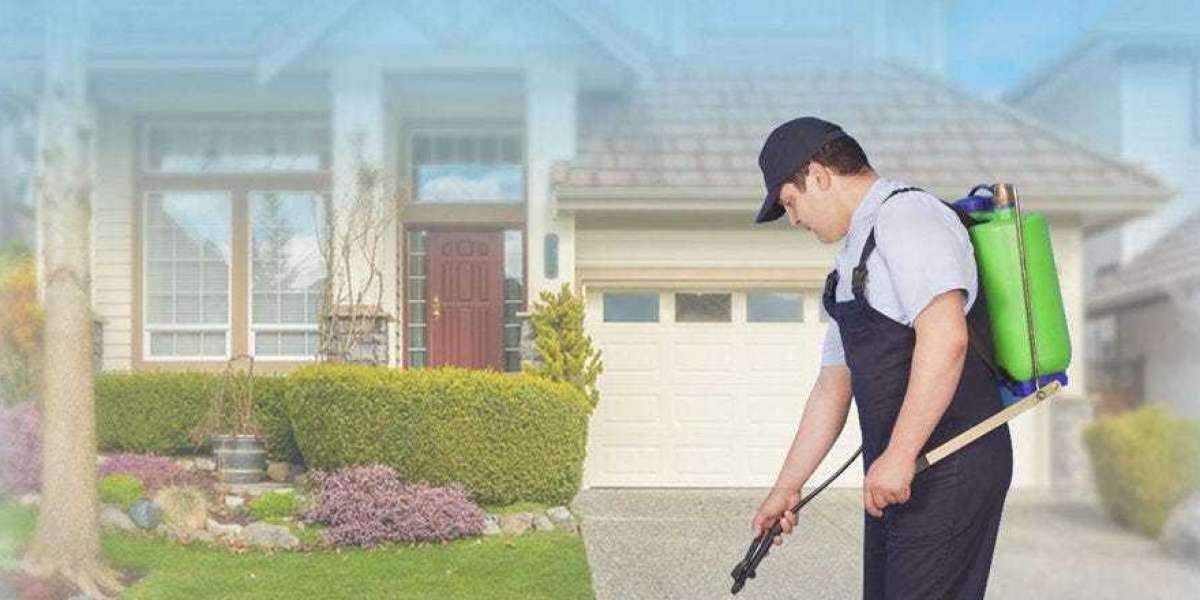 Residential Pest Control in NYC: Why Seasonal Infestations Never Really Leave