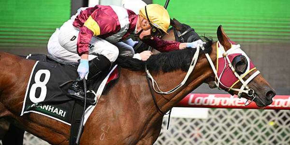 RACE TALK – RANDWICK: Complete Guide to Smarter Race Analysis