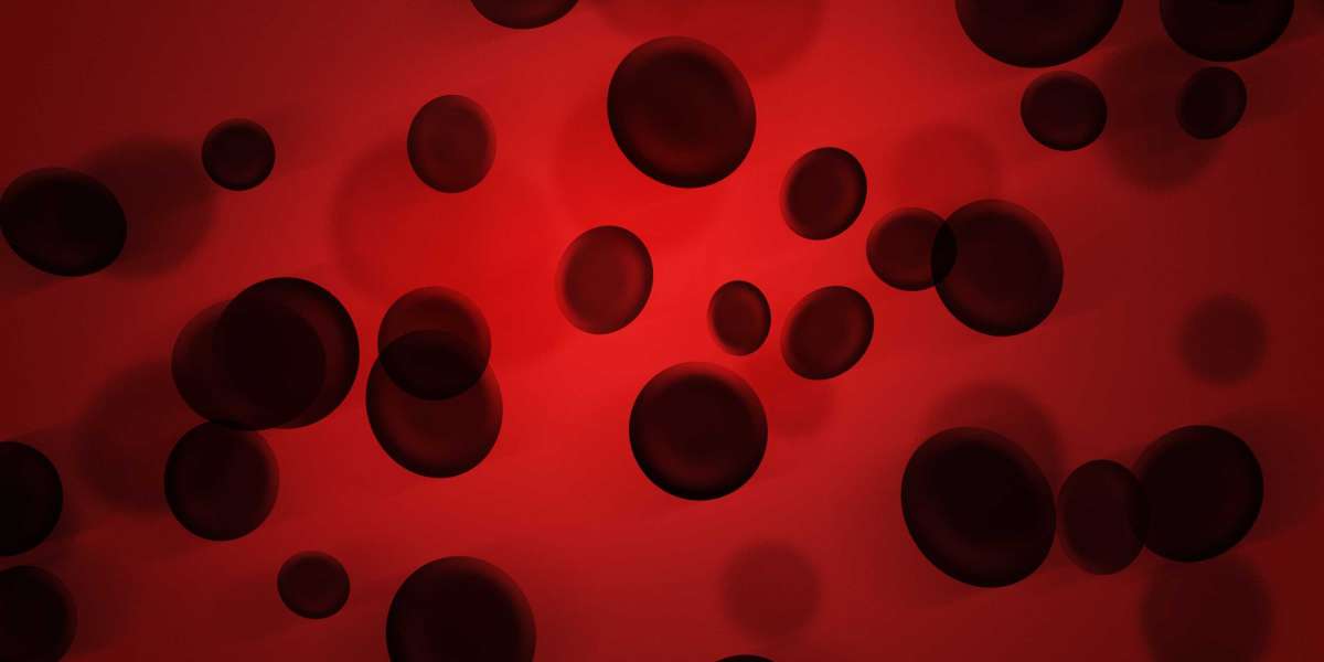 The Economics Of Luxury: Understanding Private Jet Charter Prices