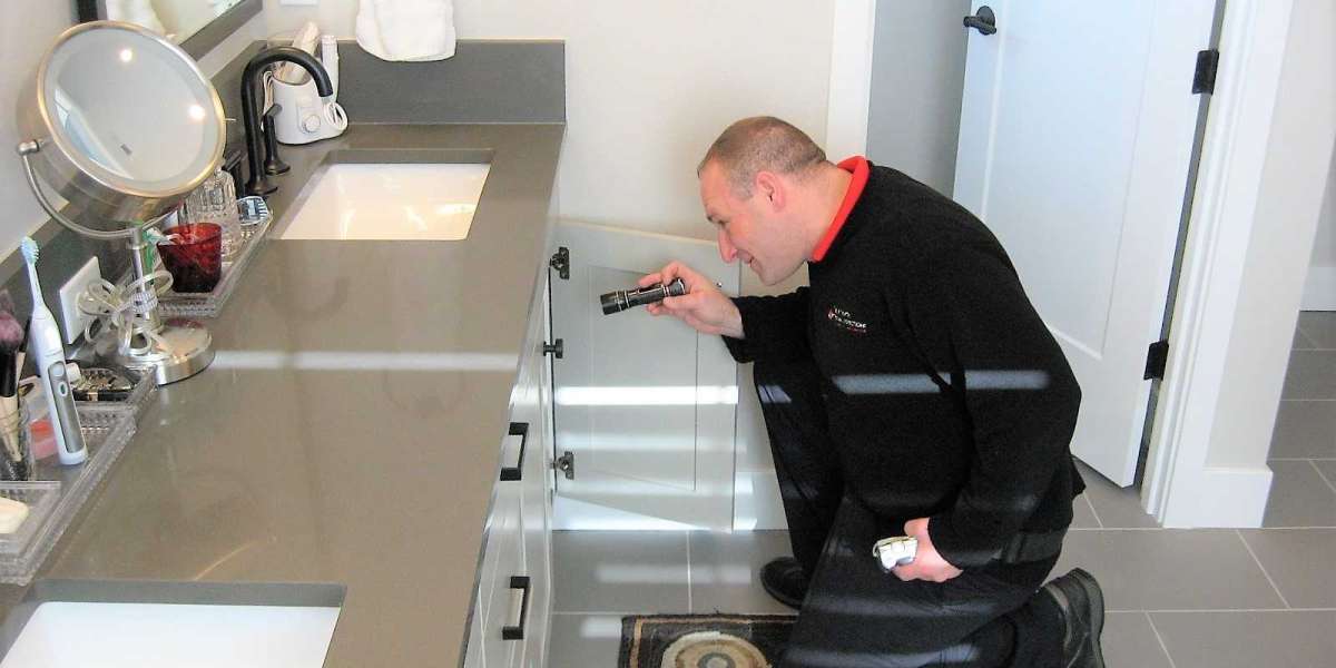 5 Essential Tips for Home Inspections in University Place