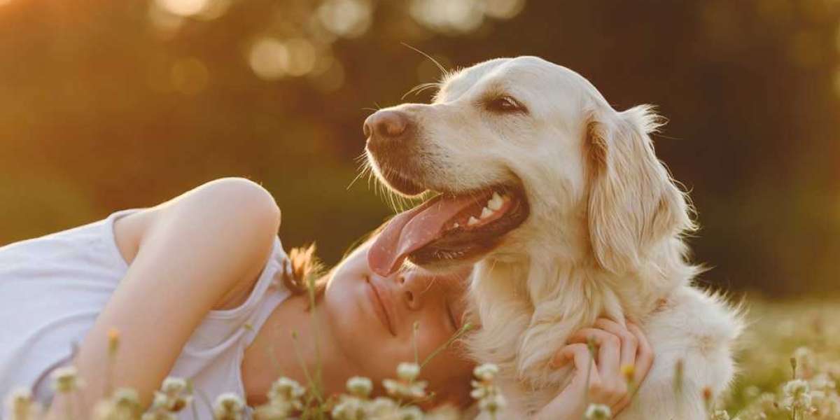 Custom Engraving: A Personalized Pet Urn for Your Companion