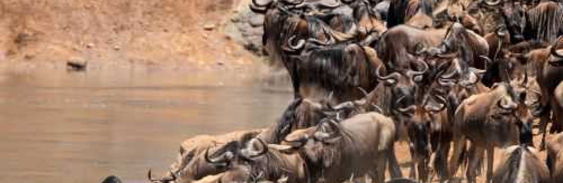 Amrix Adventures Ltd Cover Image