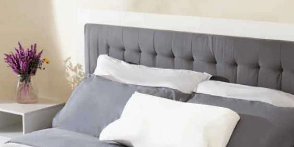 Ergo Z Pillow Amazon- Support, Comfort, Repeat[Ergo Z Pillow Price]