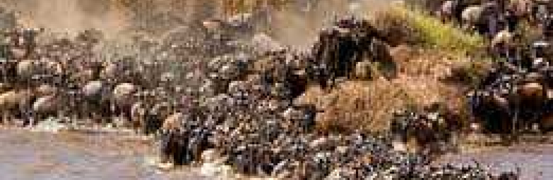 Kimgoni Tanzania Safaris Cover Image