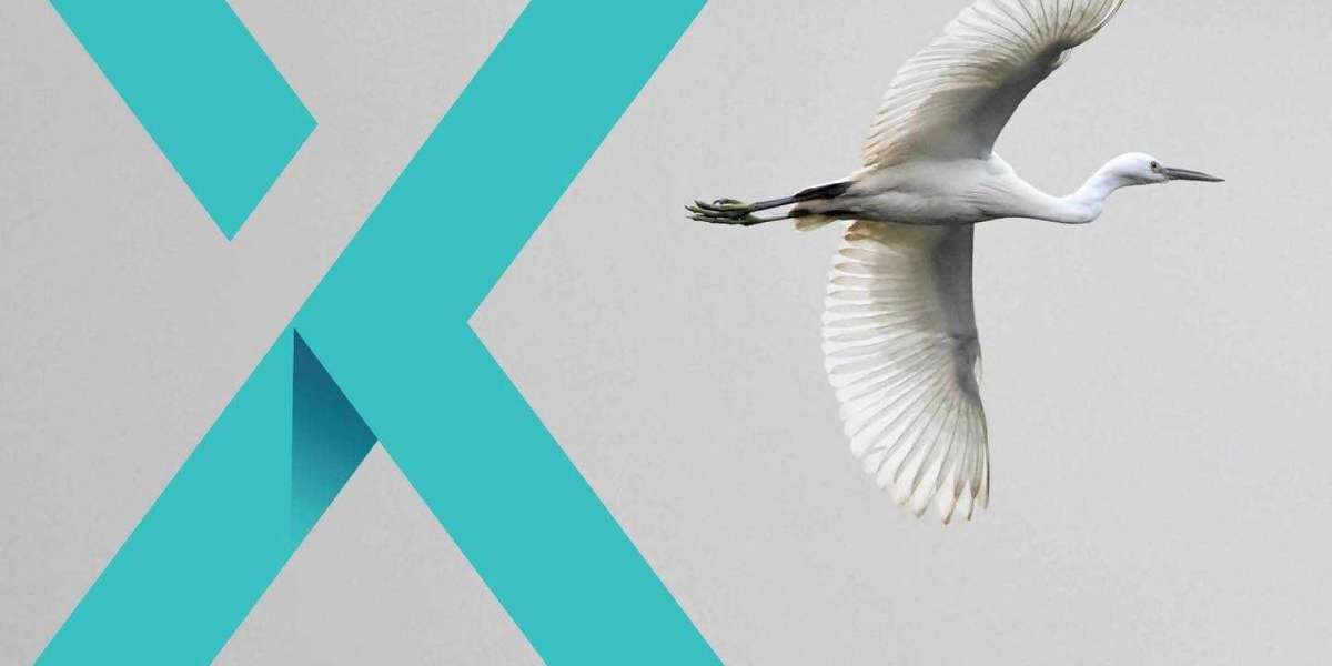 The Role of Flight Support Services in Dubai’s Aviation Ecosystem